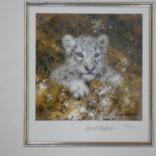 Snow Leopard Cub - mini